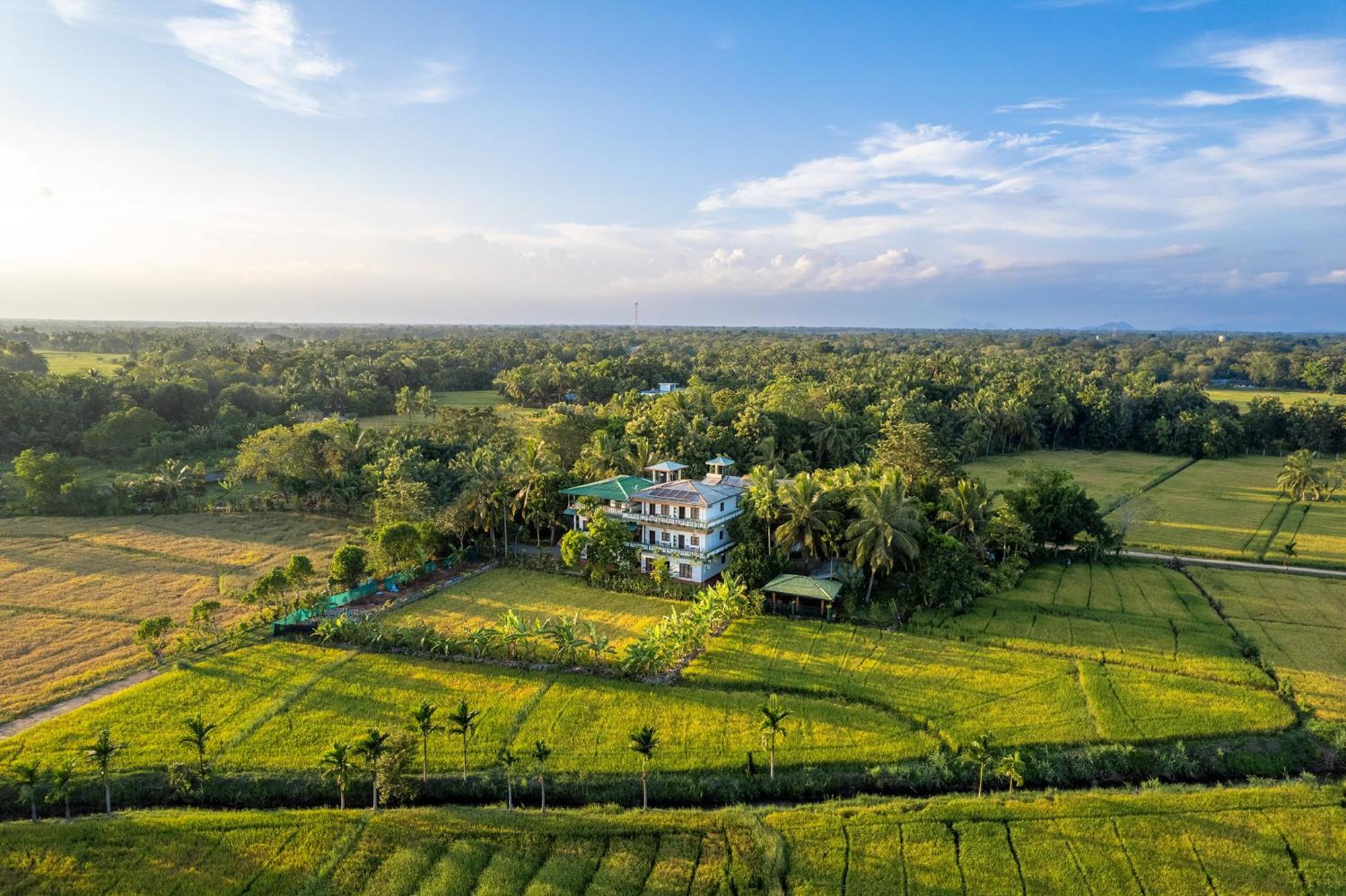 Mailagama Cinnamon Residence Kataragama Exteriör bild